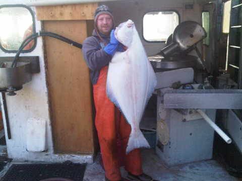 Halibut 2010