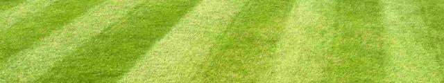 lawn care